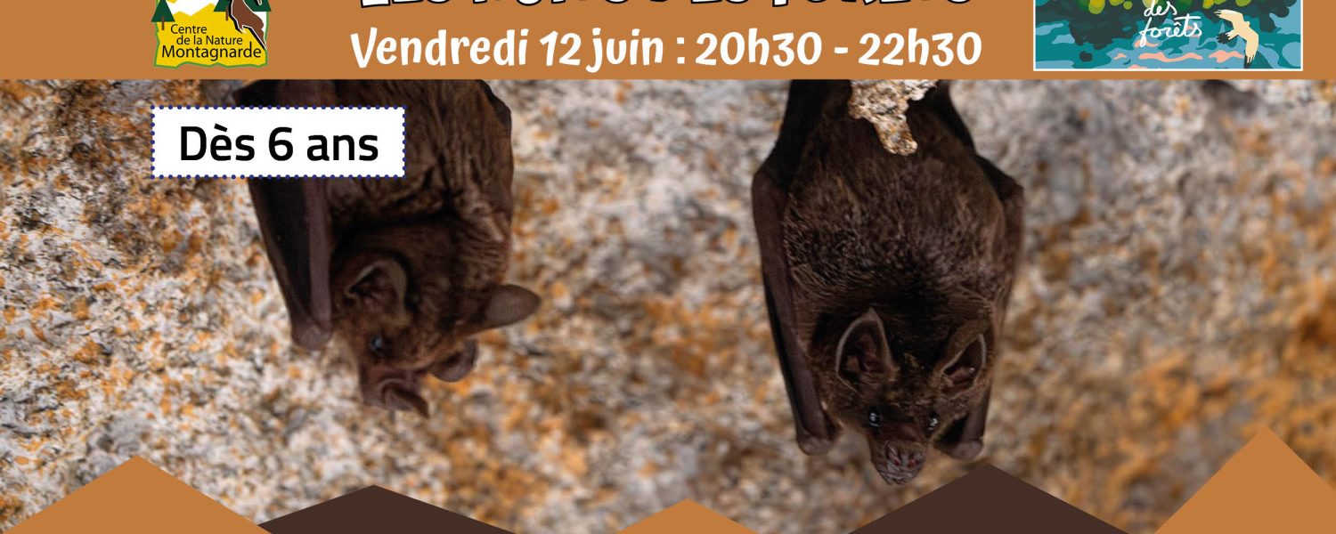 Les Nuits des Forêts Sallanches