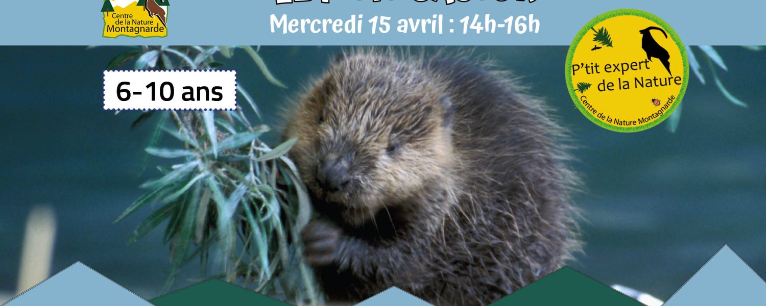 Les P'tits Experts de la Nature® Le P'tit Castor Sallanches