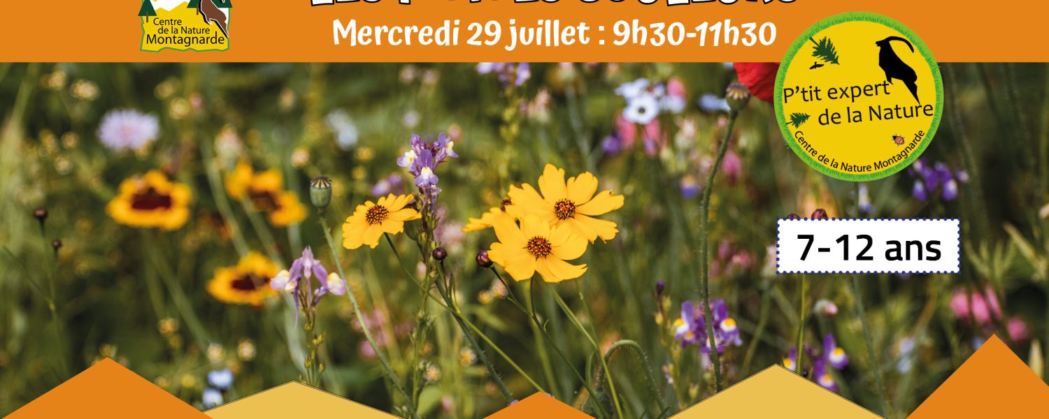 Les P'tits Experts de la Nature® Les P'tites couleurs Sallanches