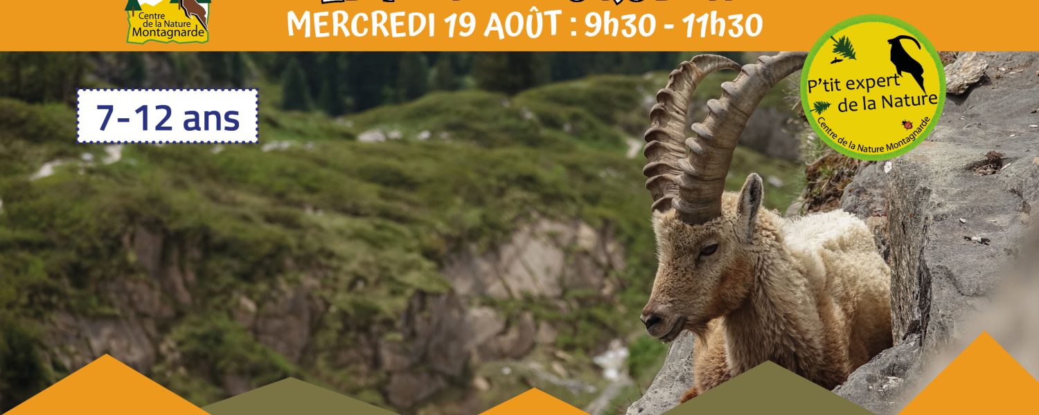 Les P'tits Experts de la Nature® Le P'tit bouquetin Sallanches