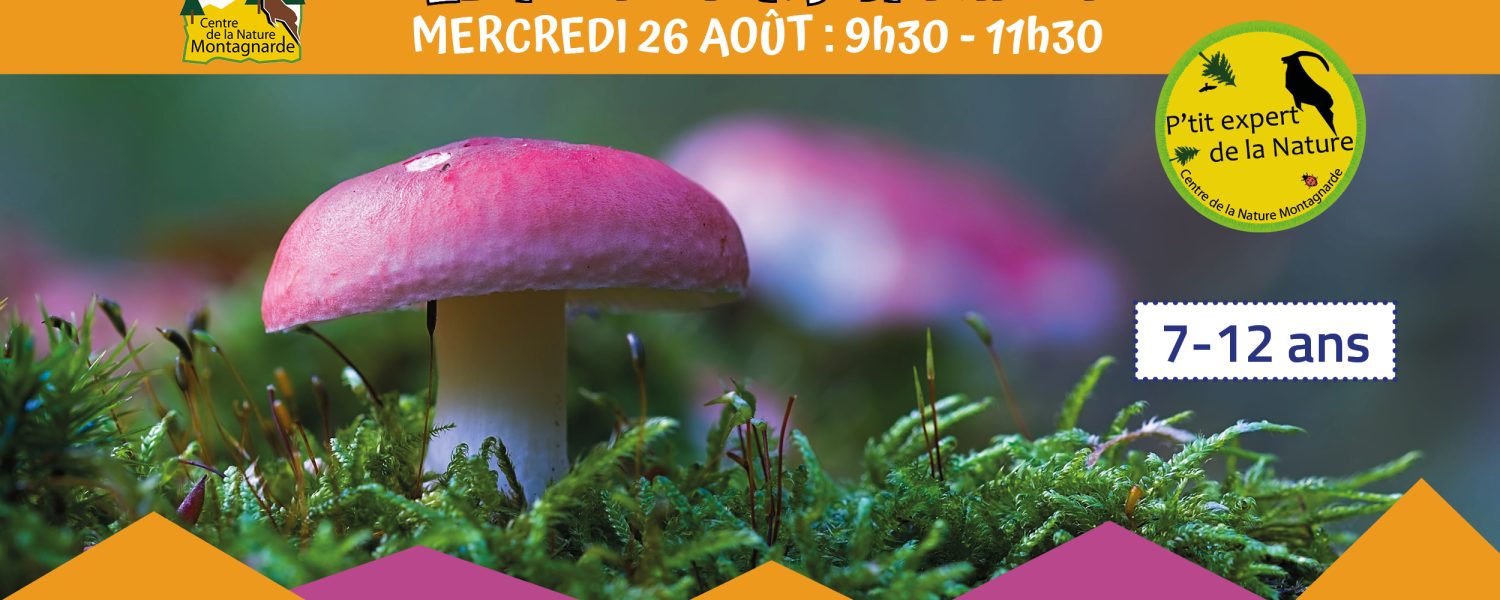 Les P'tits Experts de la Nature® Le P'tit champignon Sallanches