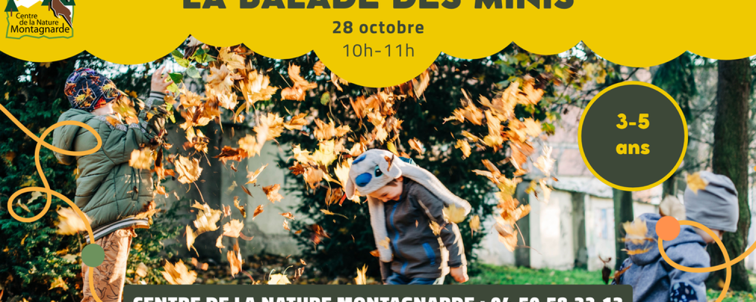 La balade des minis : Le mini arbre Sallanches