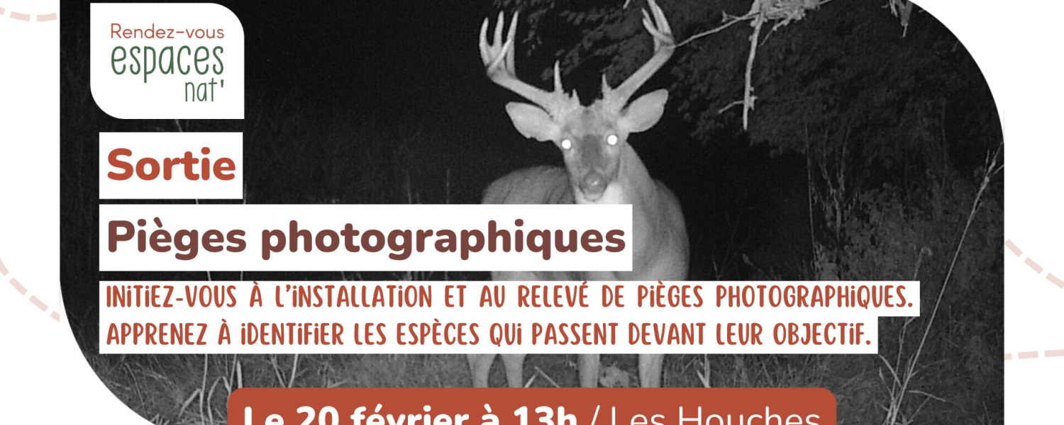 Sortie nature Initiation aux pièges photographiques Les Houches