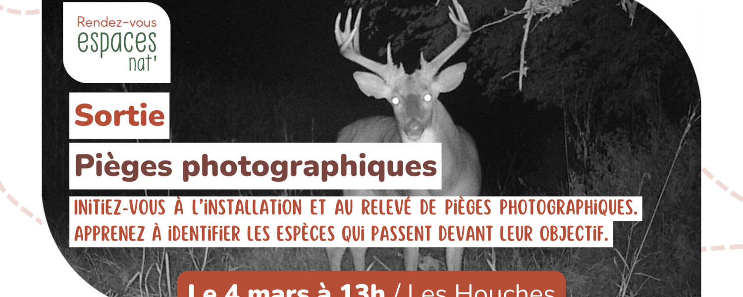 Sortie nature Initiation aux pièges photographiques Les Houches