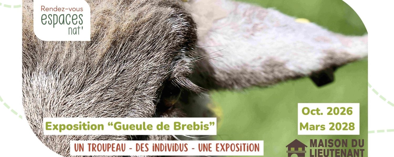 Exposition temporaire Gueule de BREBIS
