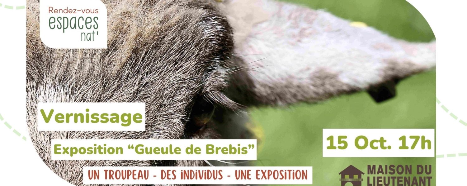 Vernissage exposition Gueule de Brebis