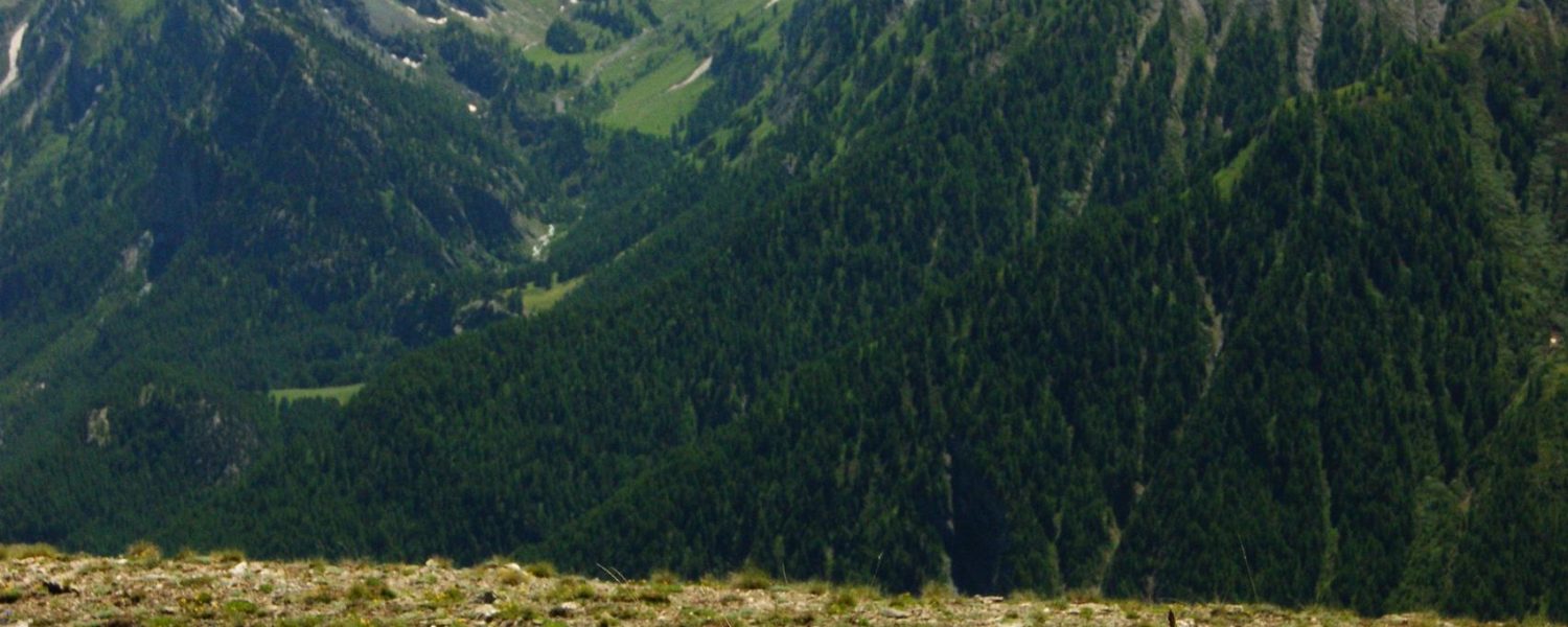Conférence " Le verdissement des montagnes " par Baptiste Nicoud Saint Gervais les Bains
