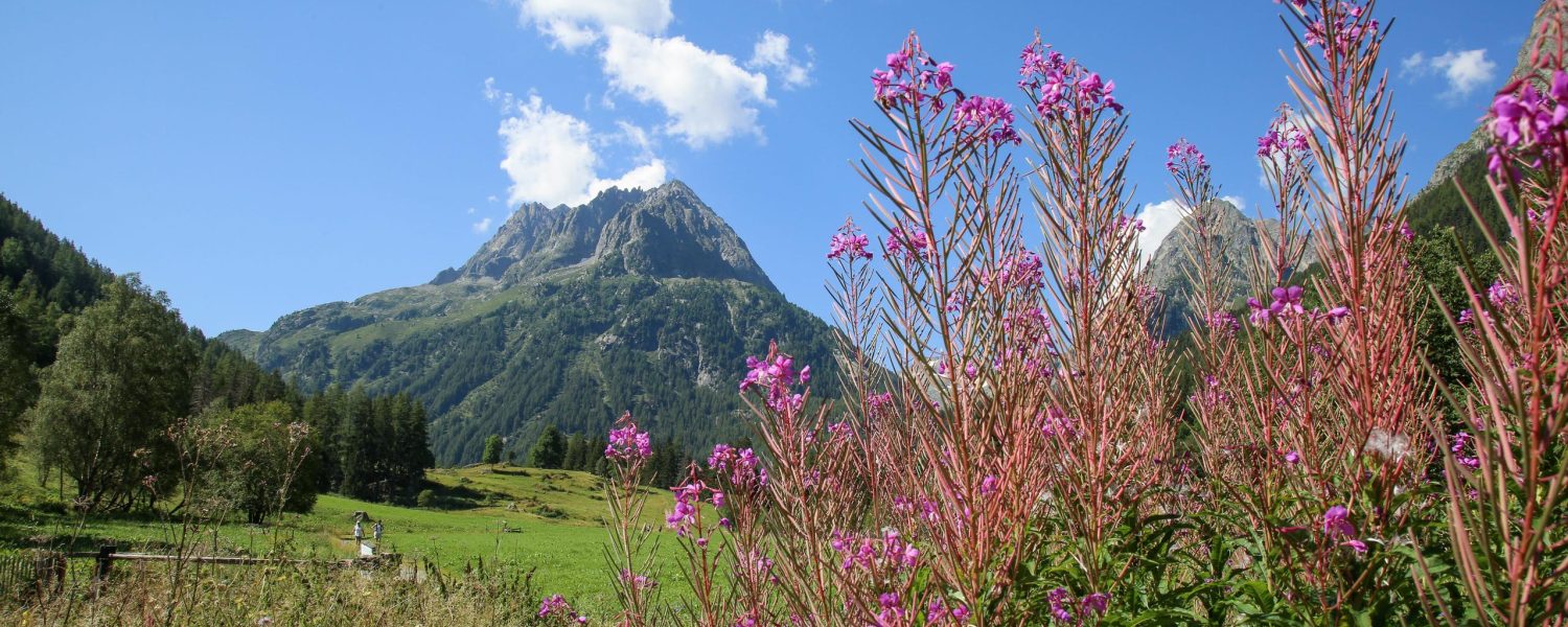 Réserve ton vendredi ! Vallorcine