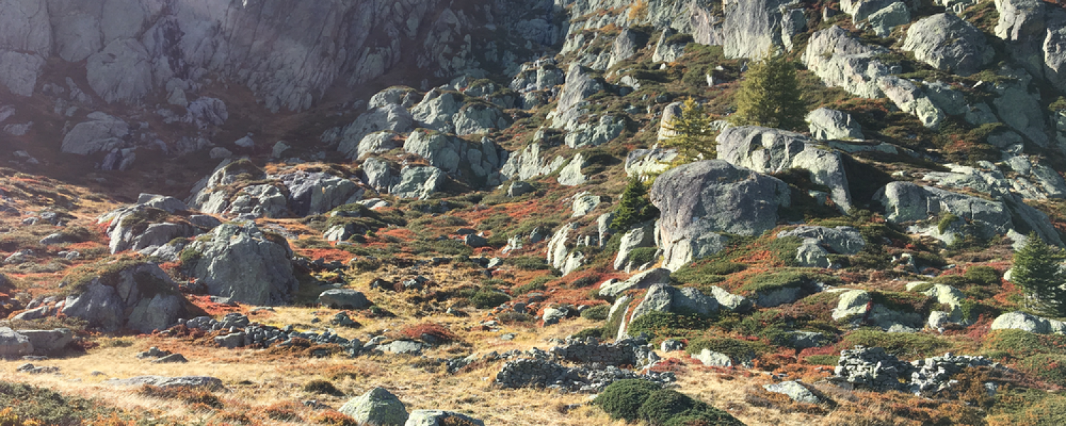 Conférence Une lecture agroécologique des alpages de Savoie Argentière
