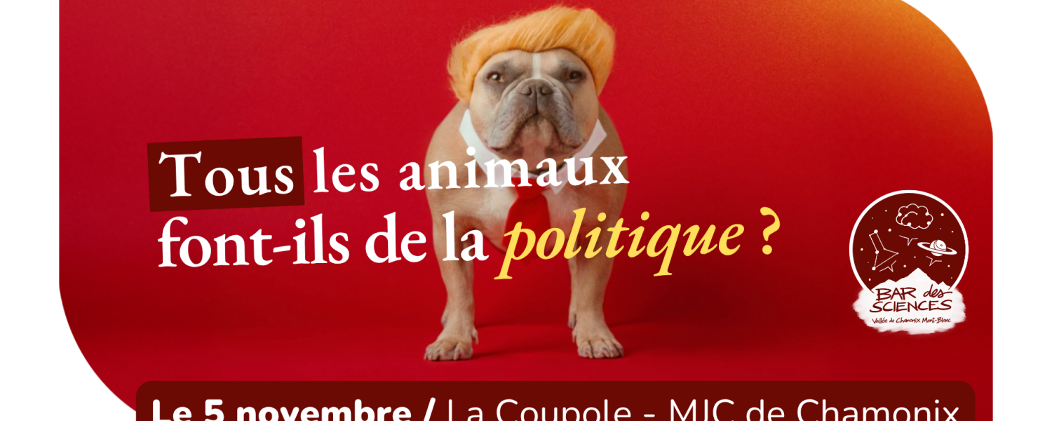 Bar des sciences : Tous les animaux font ils de la politique ? Chamonix Mont Blanc