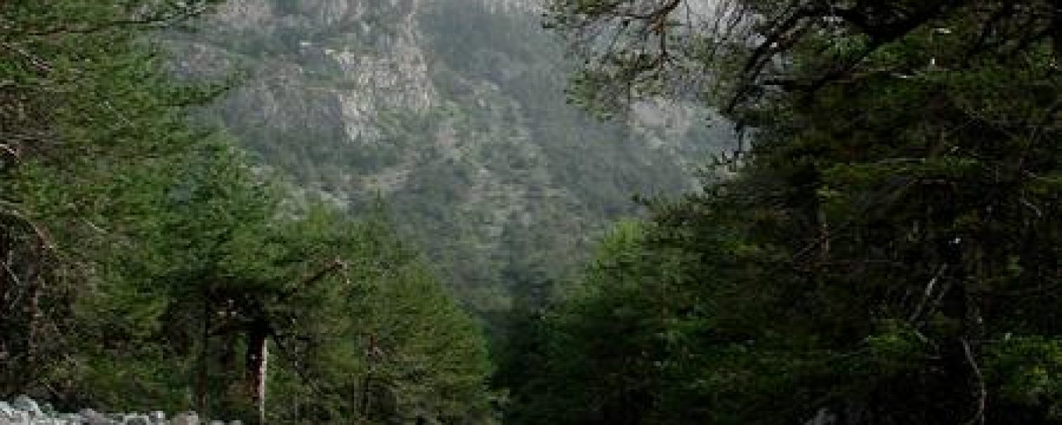 Atelier : risques naturels, les avalanches Sallanches