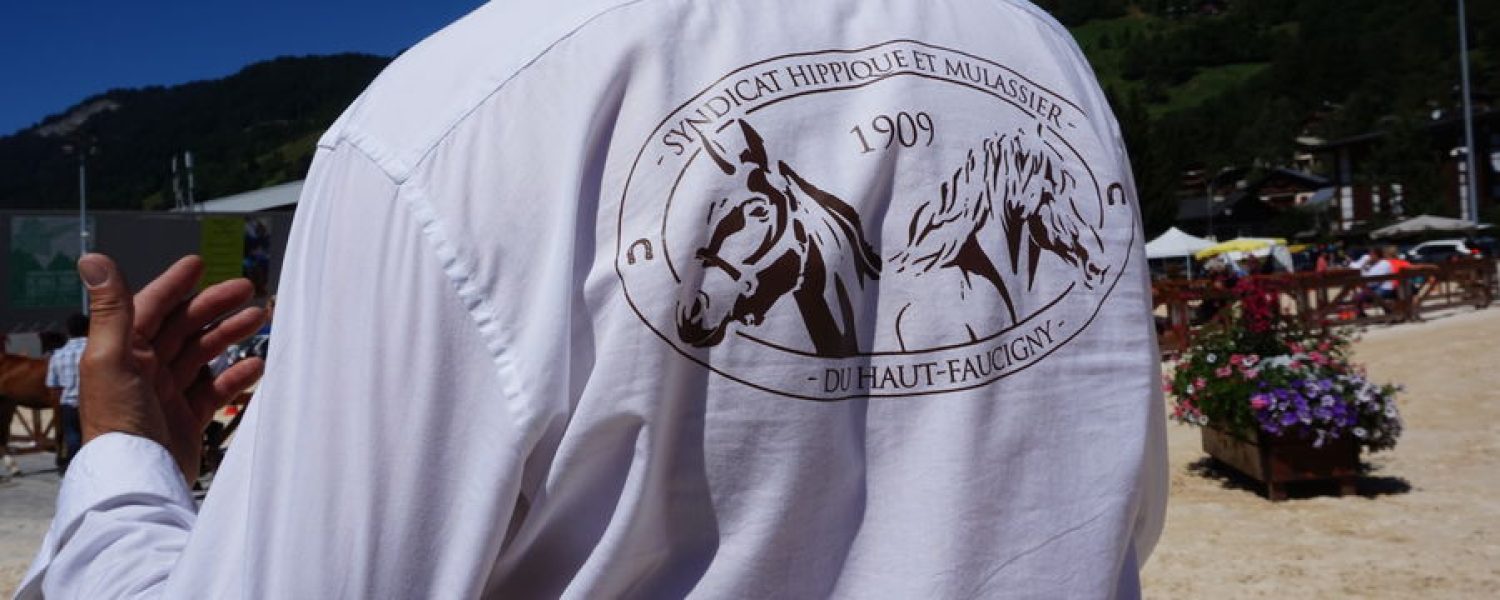 concours aux poulains17