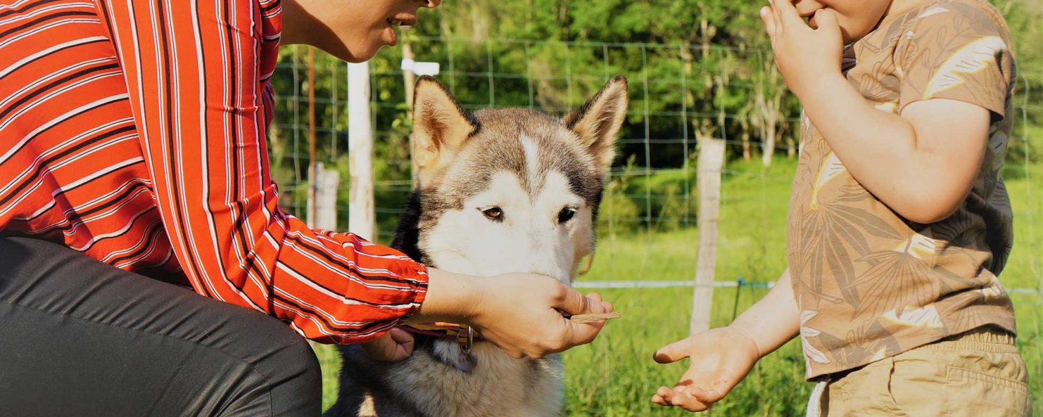 Les Granges Heidi Decouverte Chenil