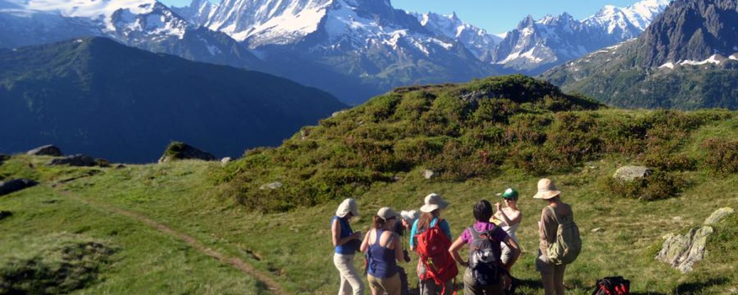 Cours du soir de botanique Sallanches
