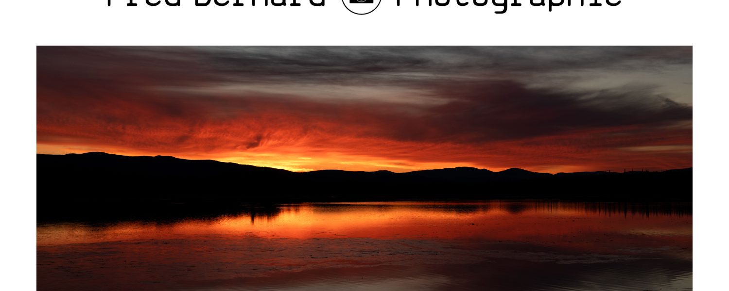 Exposition Yukon:67°Nord