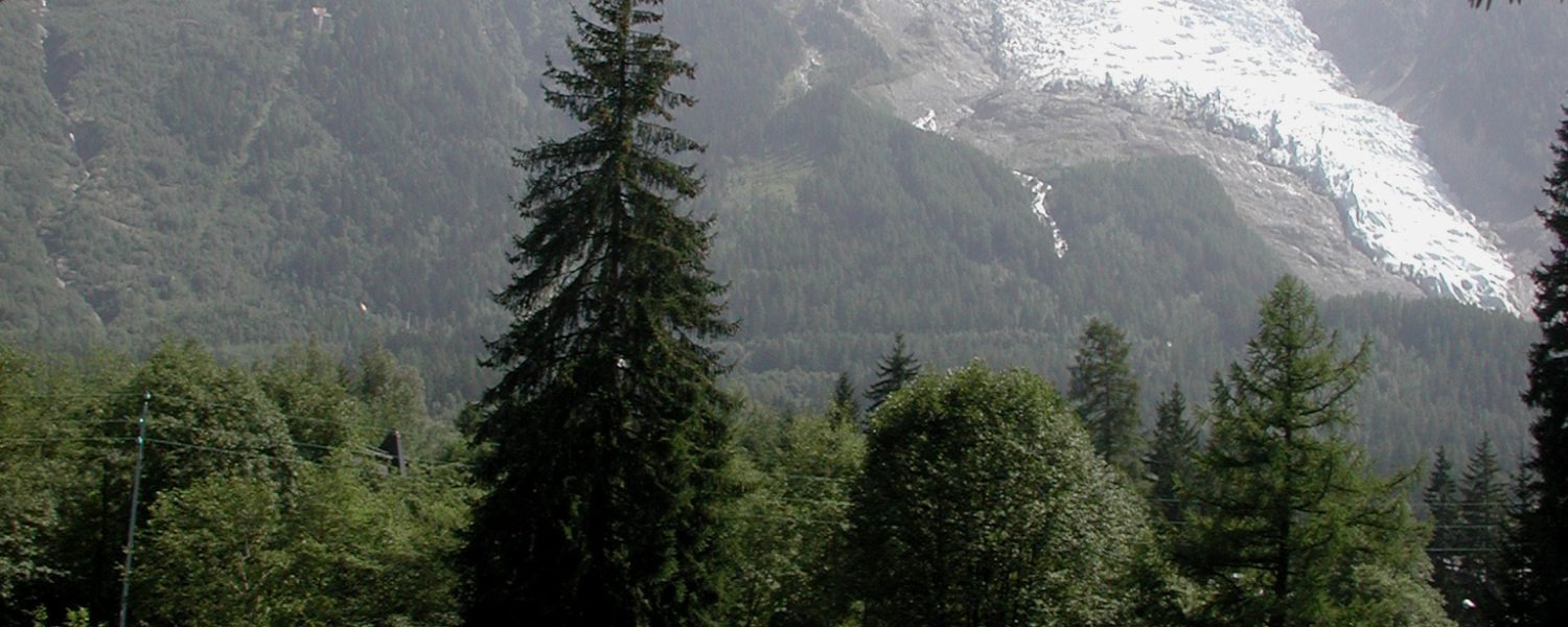 Atelier : découverte des glaciers Sallanches