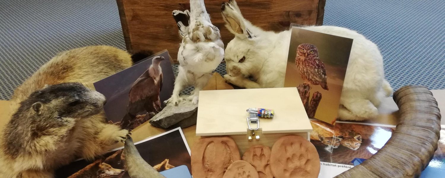 Milieu montagnard Sallanches