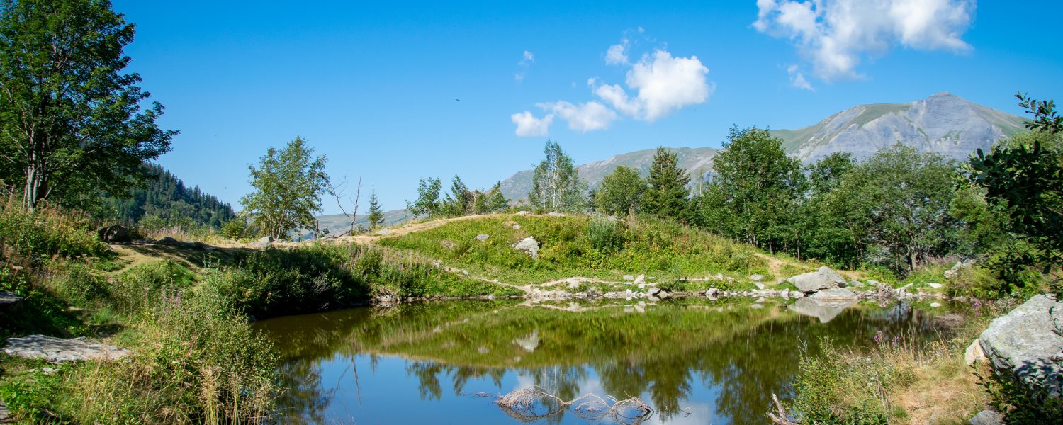 Lac d'Armancette