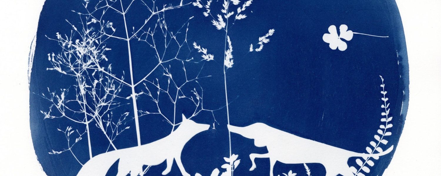 Atelier cyanotype Les Houches