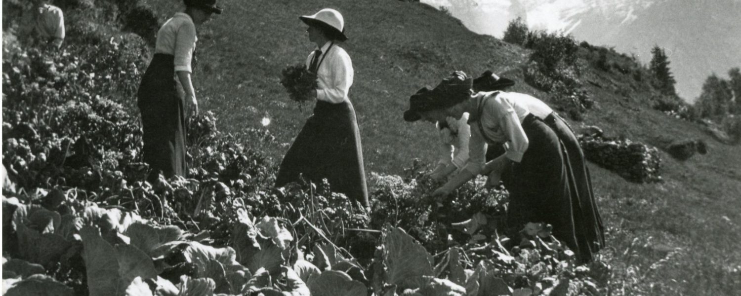 Atelier : Potager de papier Les Houches