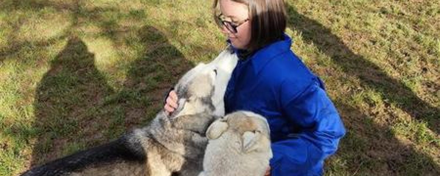 Moment calin avec les chiens au chenil des Granges de Heidi