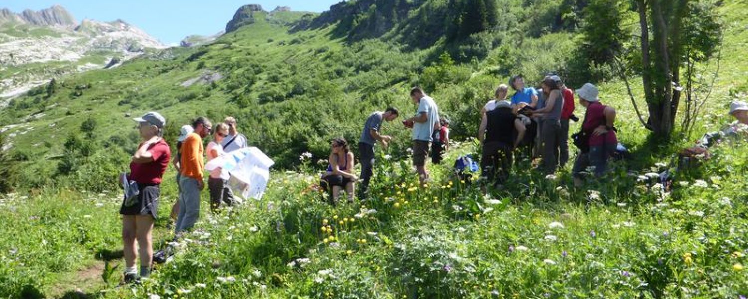 Cours du soir de botanique Sallanches