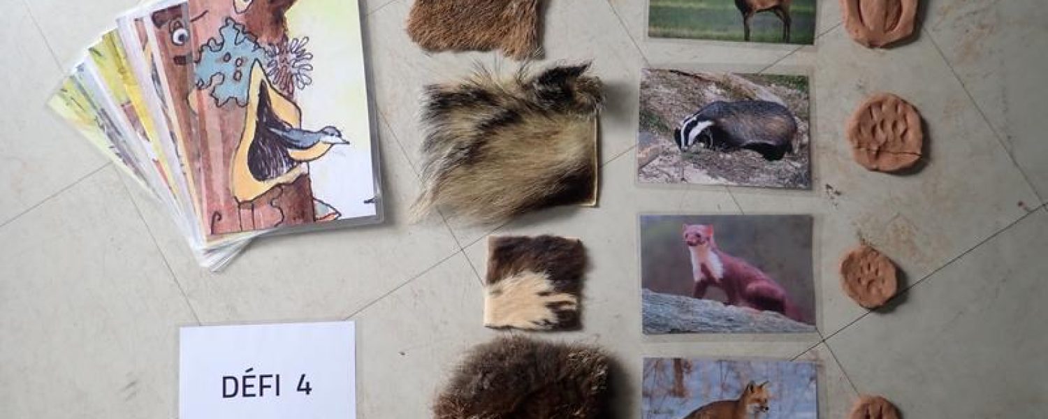 Milieu montagnard Sallanches