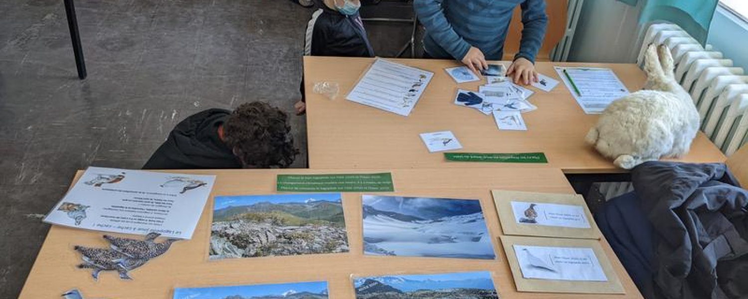 Milieu montagnard Sallanches