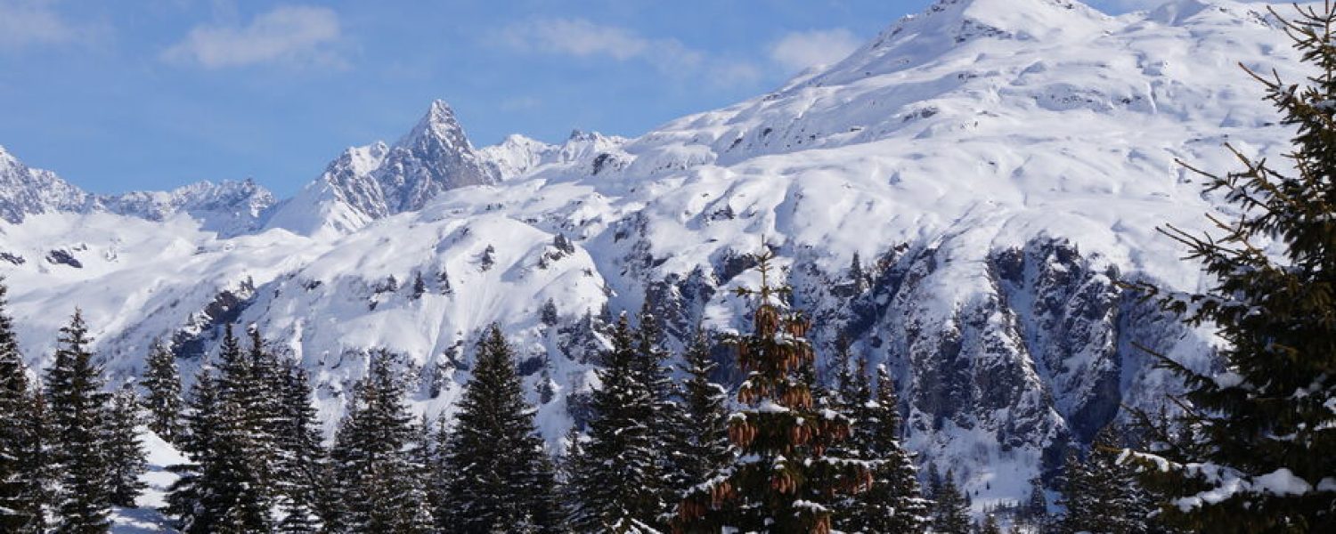 Vue depuis Plaine Joux