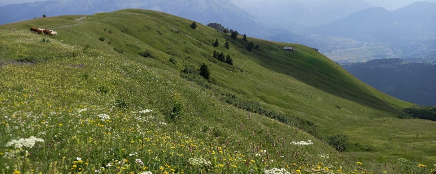 Sortie Nature Découverte de la biodiversité avec Natura 2000 Cordon