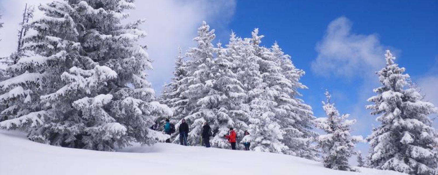 Balade à raquettes à Cordon