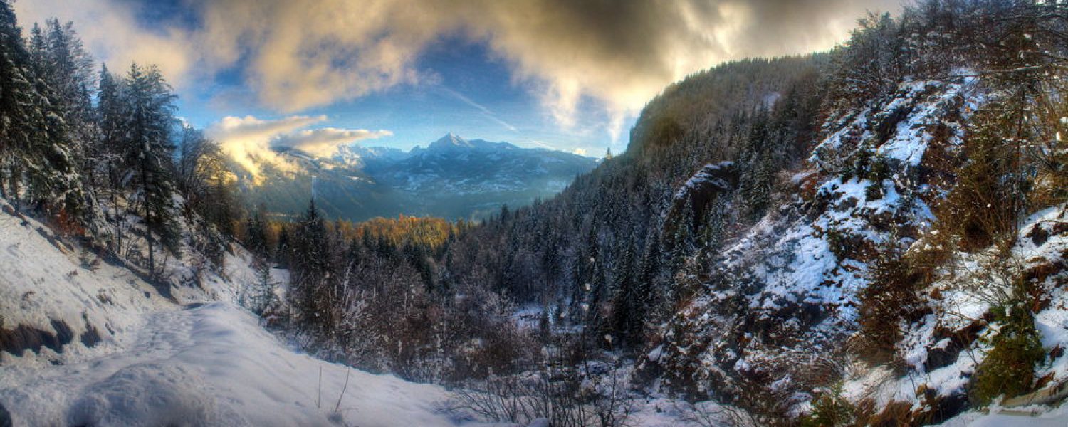 Sortie raquettes « Initiation DVA »