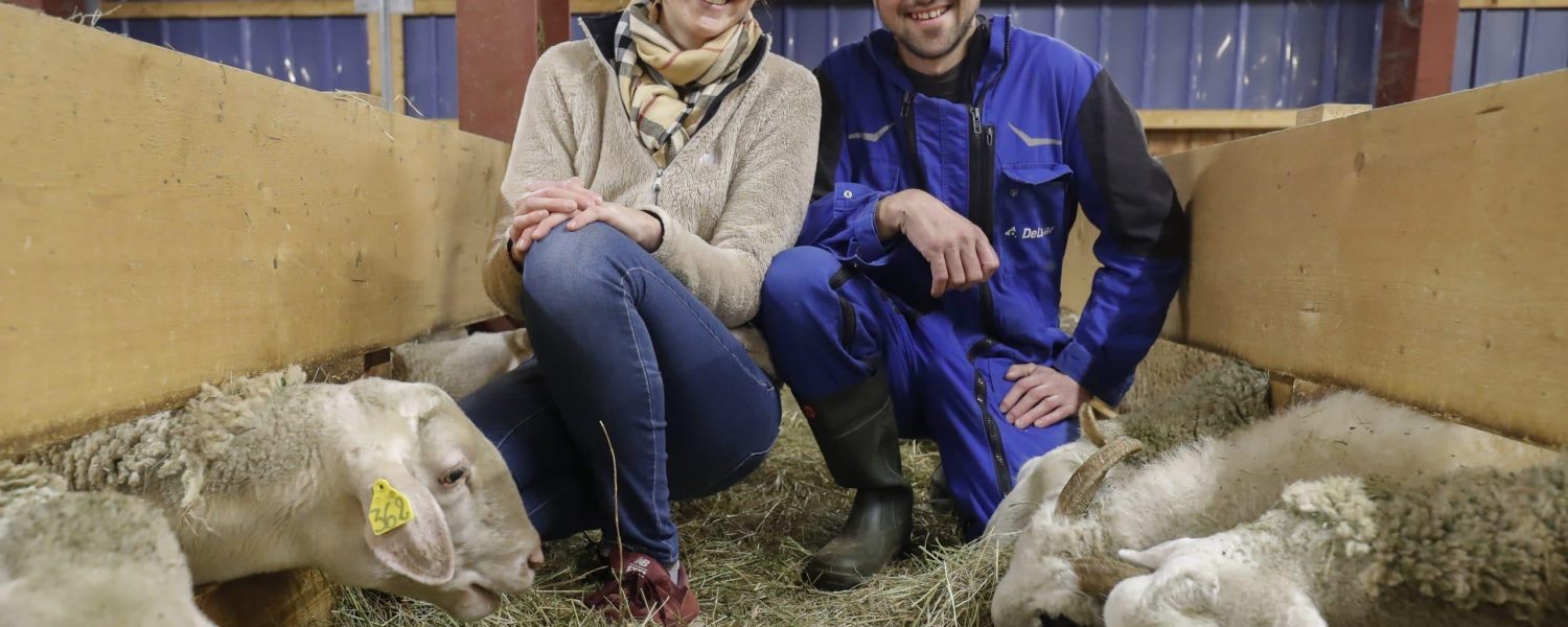 Visite guidée de la bergerie des deux savoie