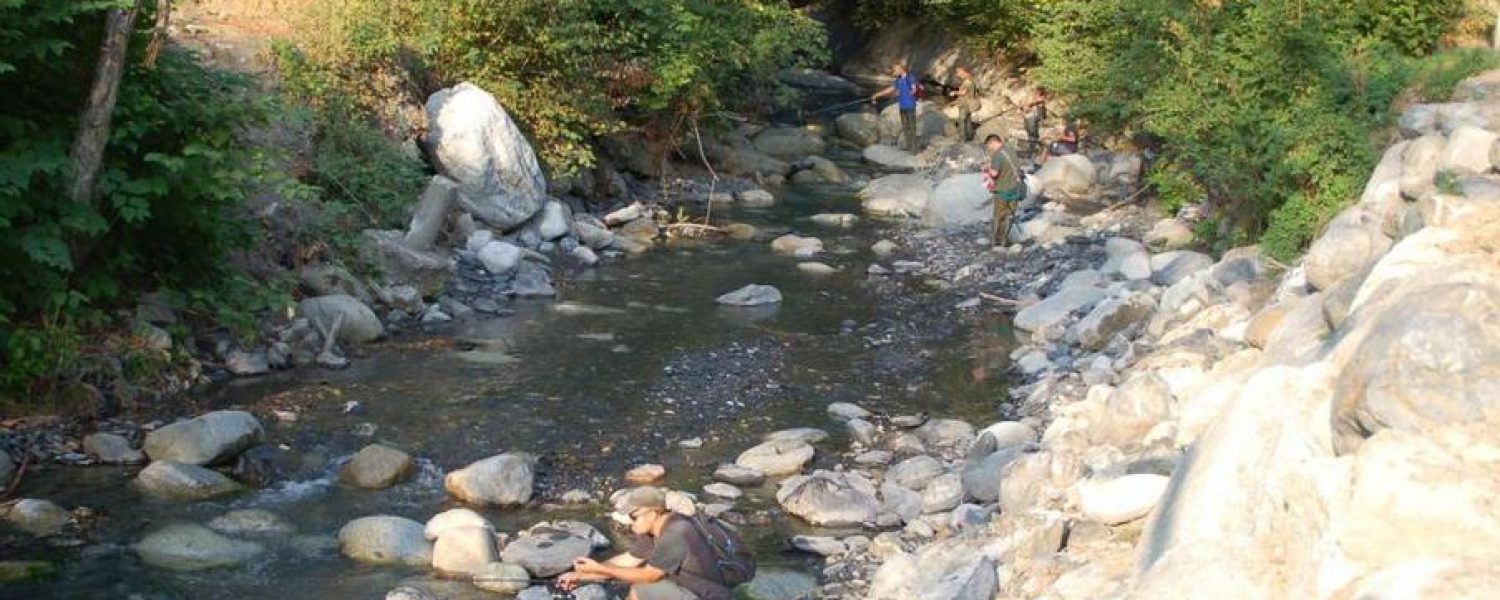 concours de pêche dans la Sallanches