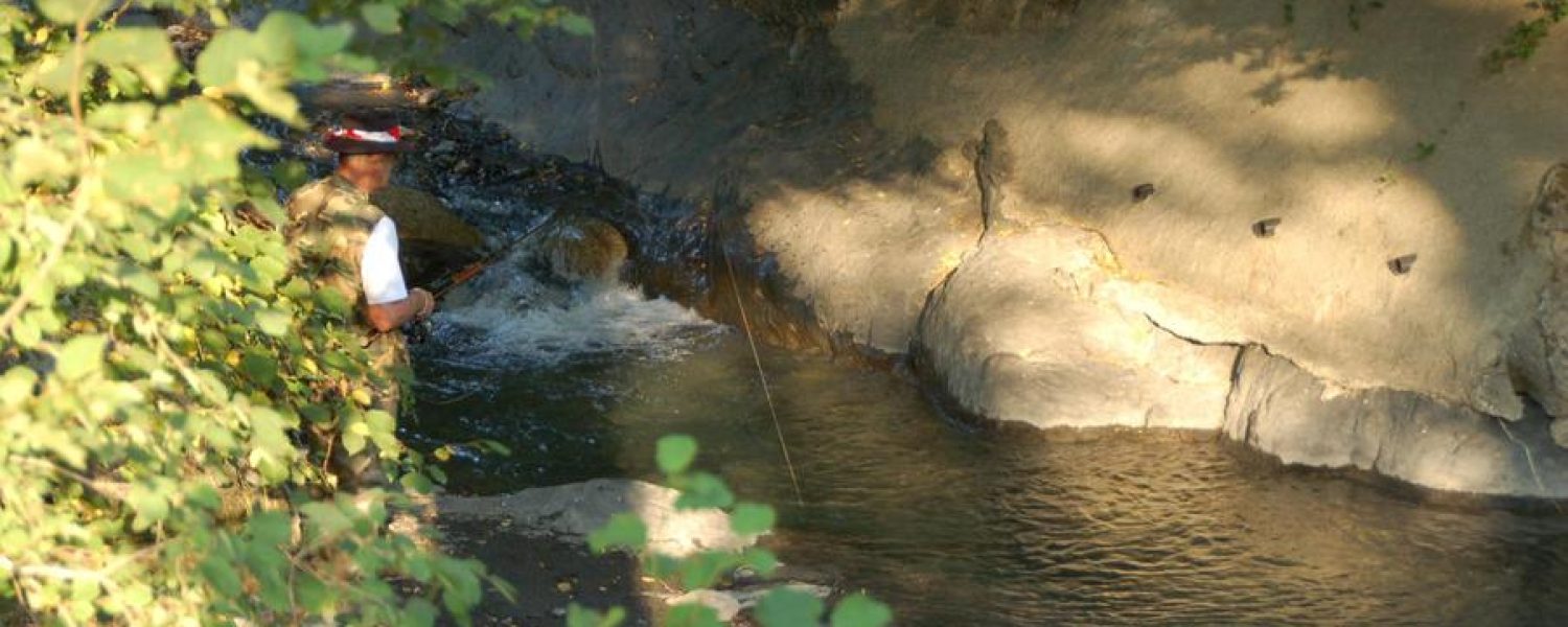 concours de pêche dans la Sallanches
