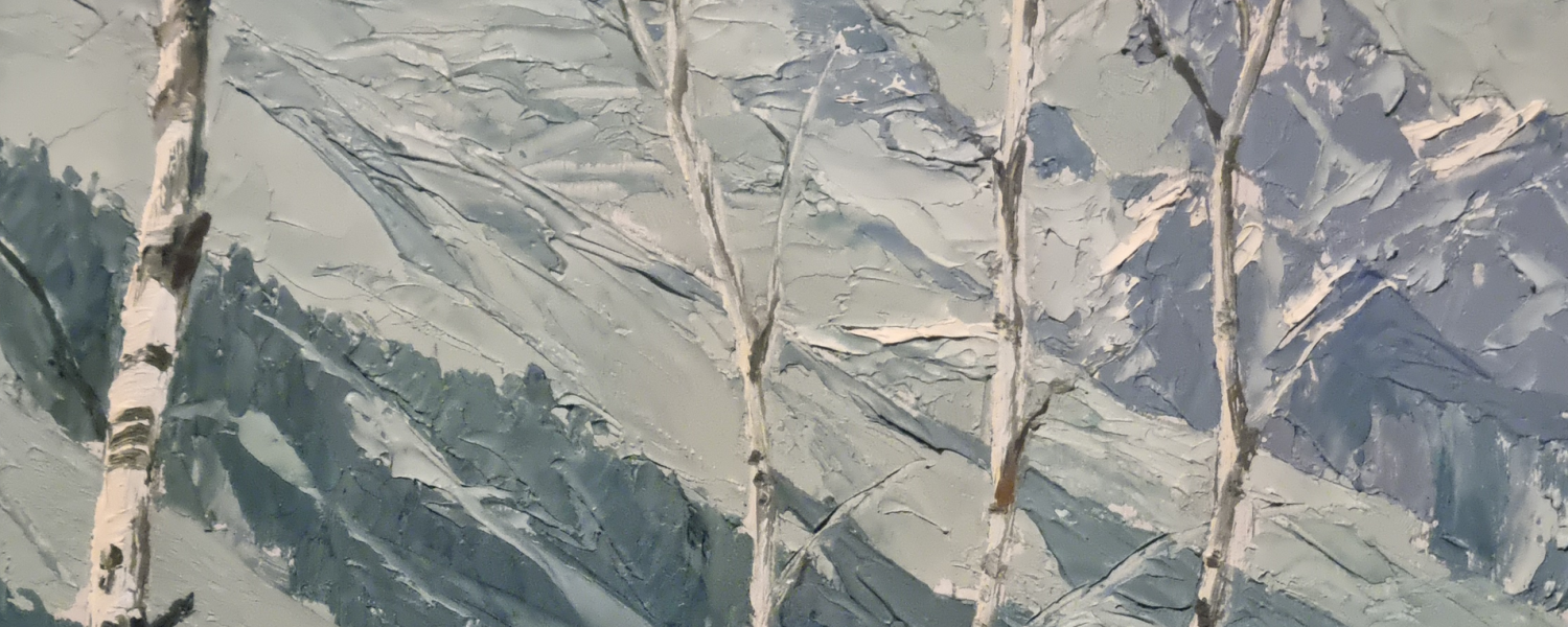 Visite guidée De neige et de glace Chamonix Mont Blanc