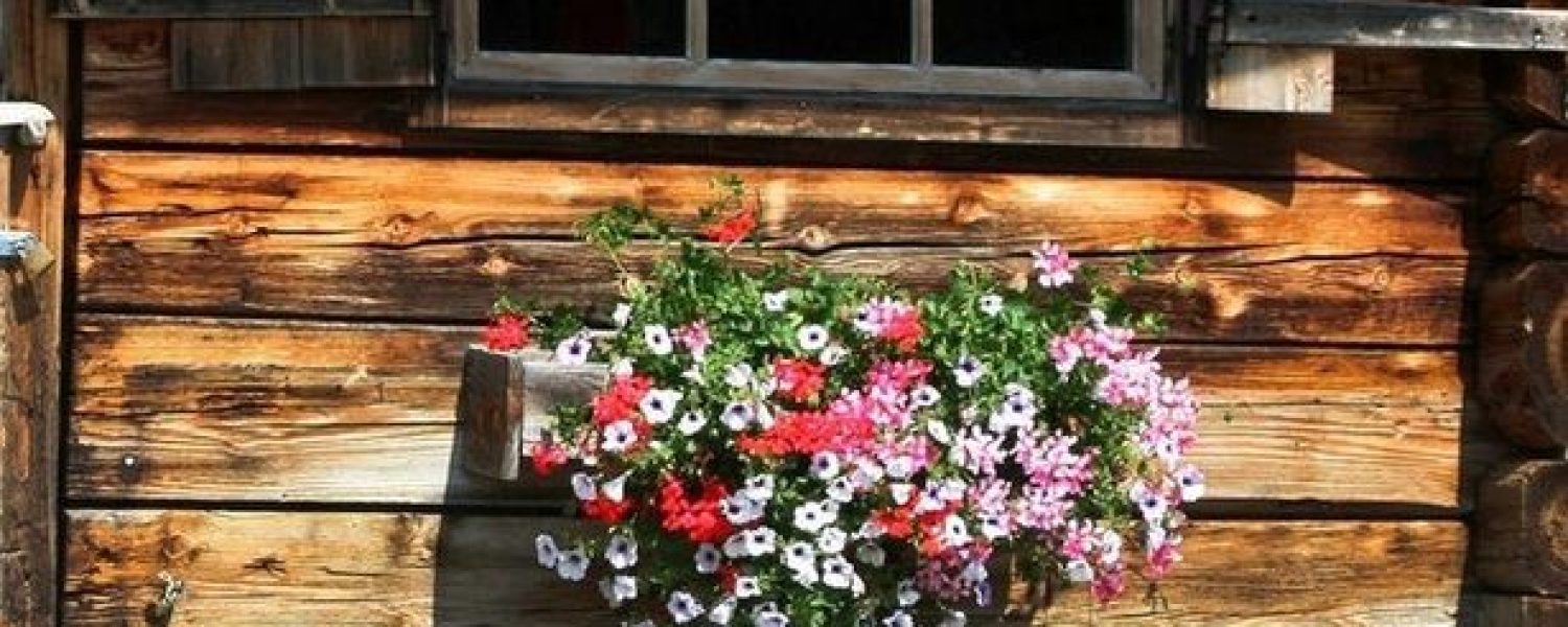 Fleurs
