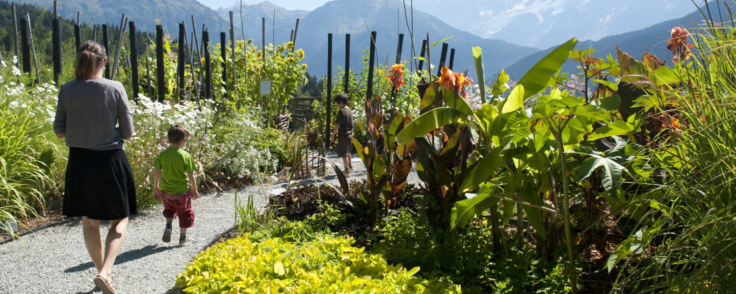Rendez vous au jardin... Des Cimes : Visite Guidée du Jardin Passy