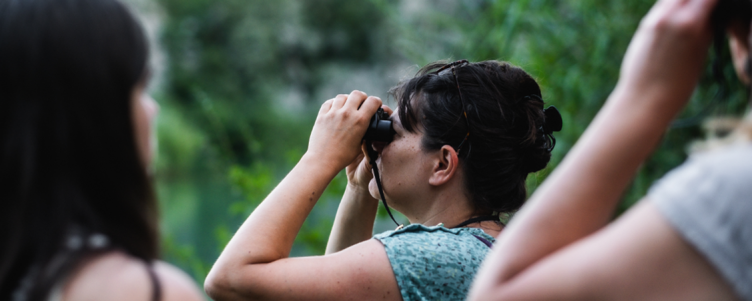 Visite au crépuscule de la Réserve Naturelle du Delta de la Dranse Thonon les Bains