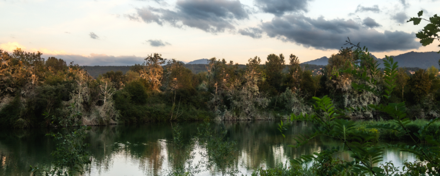 Visite au crépuscule de la Réserve Naturelle du Delta de la Dranse Thonon les Bains